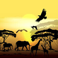 Обои и фотообои с африканской тематикой