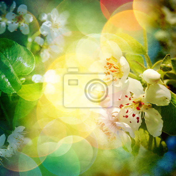 Фотообои - Яркое цветение