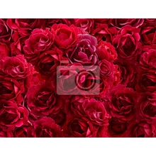 Фотообои - Красные розы макро