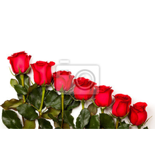 Фотообои - Красные розы