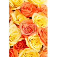 Узкие фотообои с розами