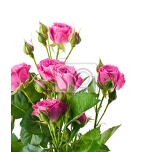 Изображение фотообоев