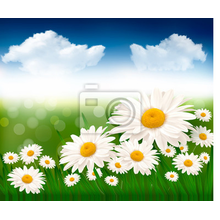 Изображение фотообоев