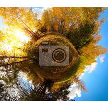 Изображение фотообоев