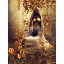 Изображение фотообоев