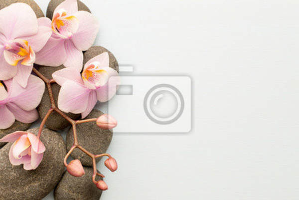 Фотообои - Спа и орхидеи артикул 10008289