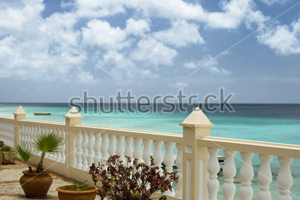  артикул 10009356