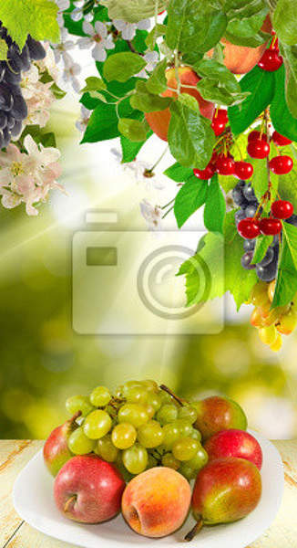  артикул 10010114