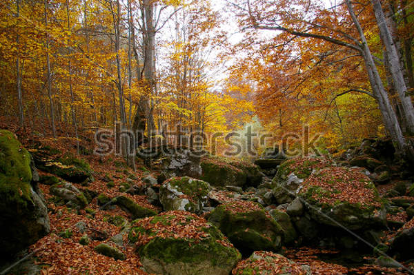  артикул 10013253