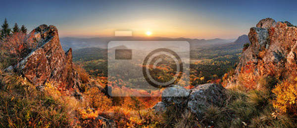  артикул 10013331