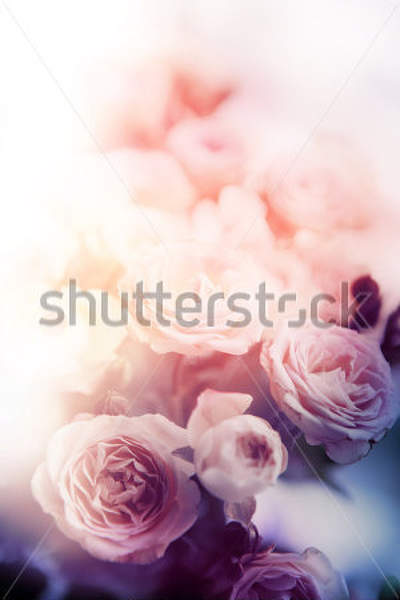  артикул 10013577