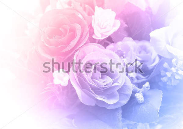 артикул 10013579