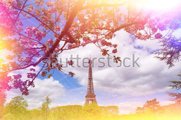  артикул 10013699