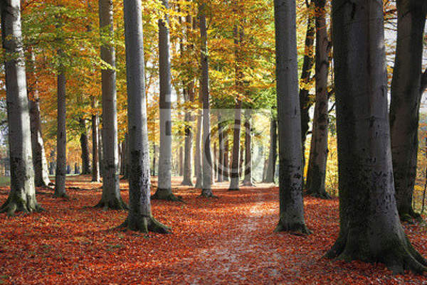  артикул 10016045