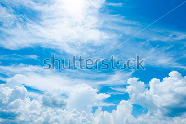  артикул 10016008