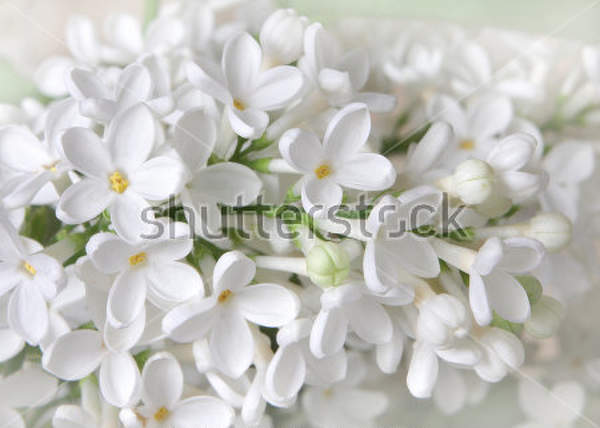  артикул 10016383