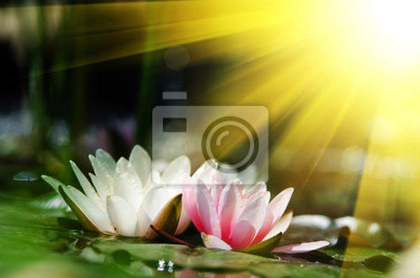  артикул 10017414