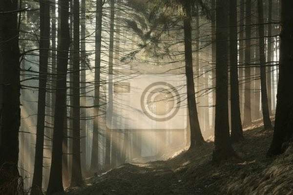  артикул 10017400