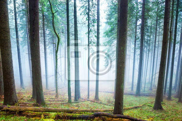  артикул 10017494