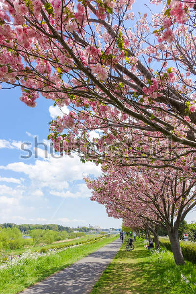  артикул 10018253