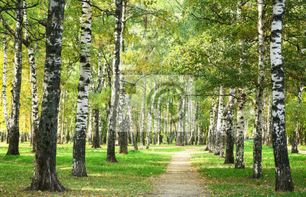  артикул 10018313