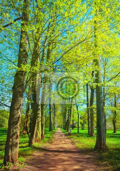  артикул 10018280