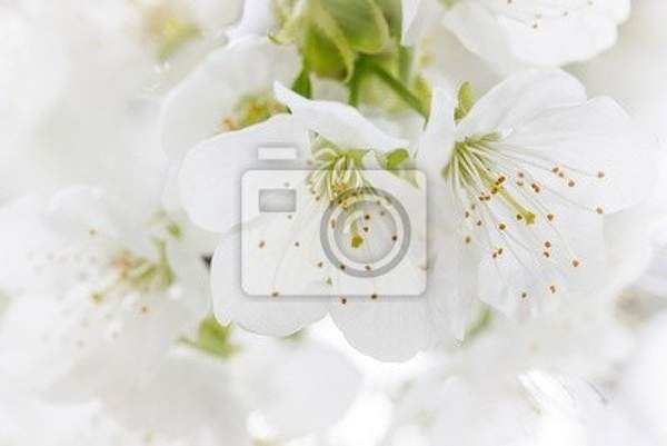  артикул 10018407