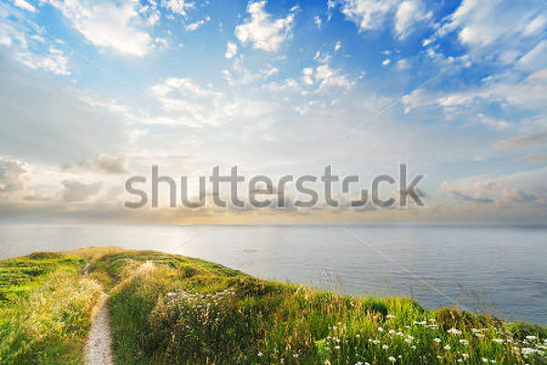  артикул 10018479