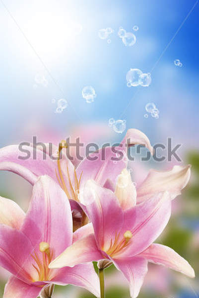  артикул 10022437