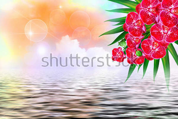  артикул 10022806