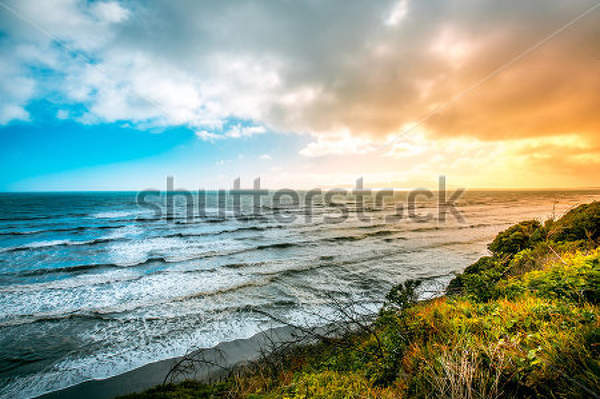  артикул 10023037