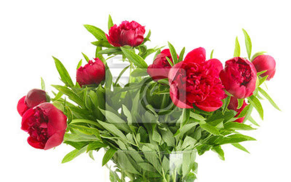  артикул 10023991