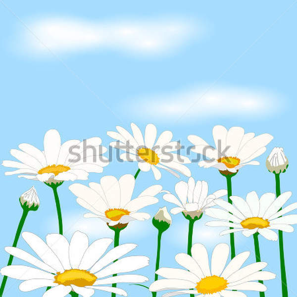  артикул 10024382