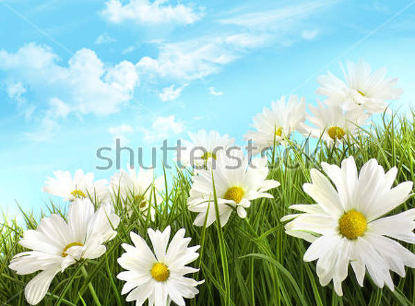  артикул 10024386