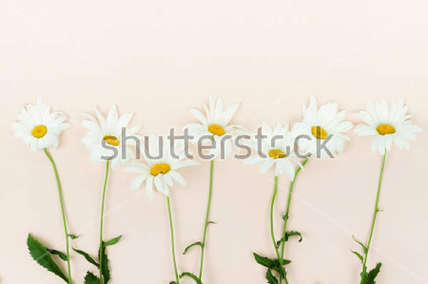  артикул 10024374