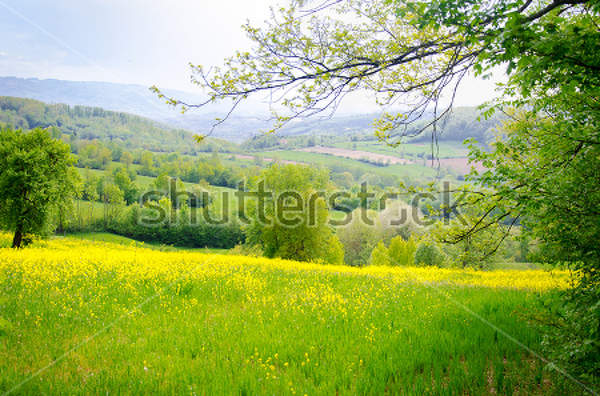  артикул 10025053