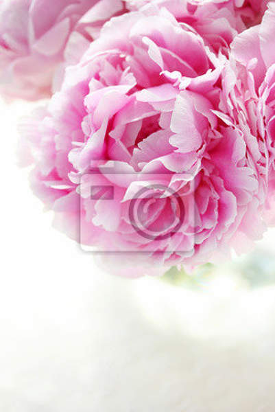  артикул 10025130