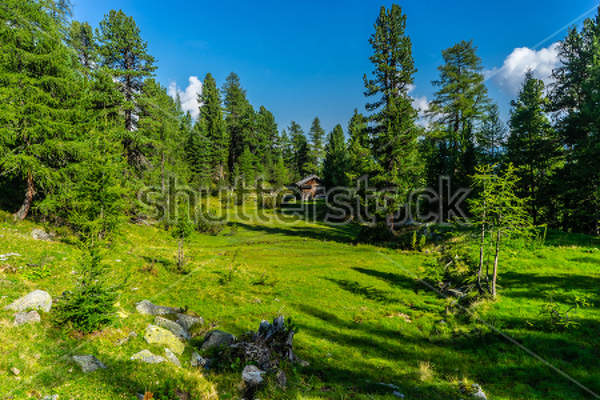  артикул 10025640