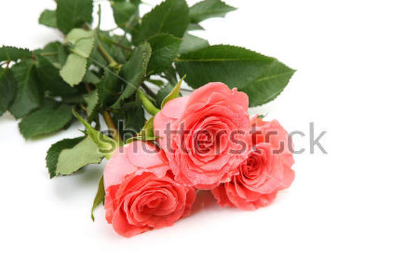  артикул 10025889