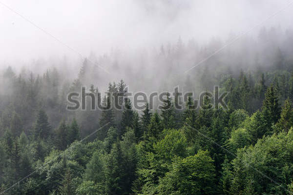  артикул 10026111