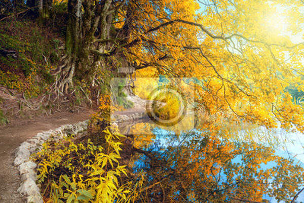  артикул 10026016