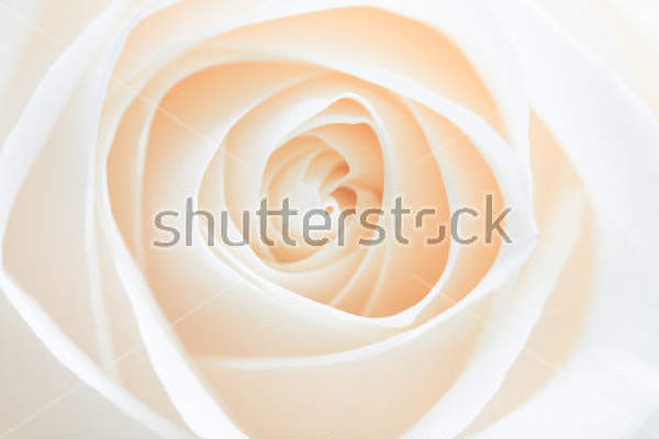  артикул 10026756