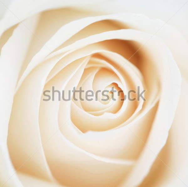  артикул 10026964