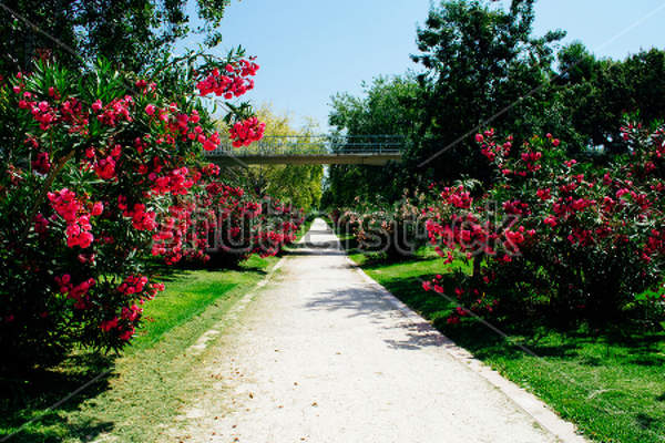  артикул 10027646