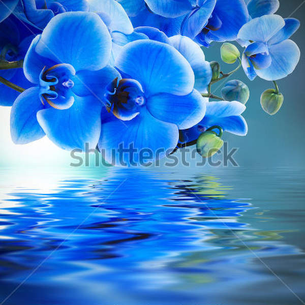  артикул 10028995