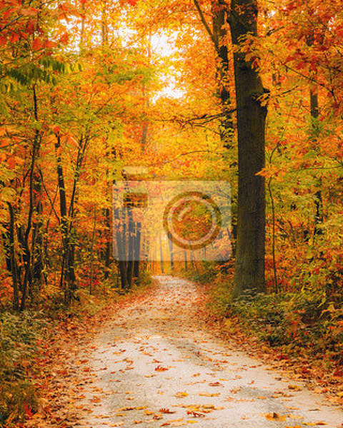  артикул 10029513