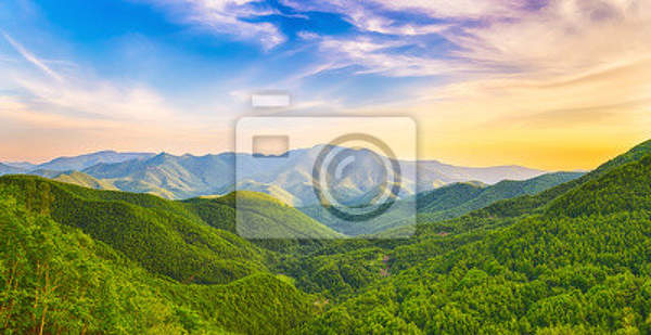  артикул 10029698