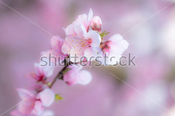  артикул 10029668