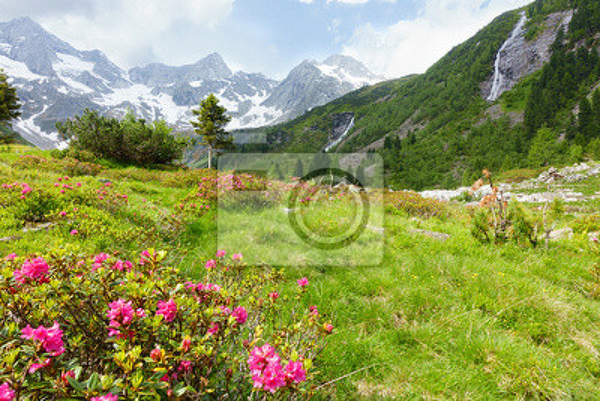  артикул 10029727