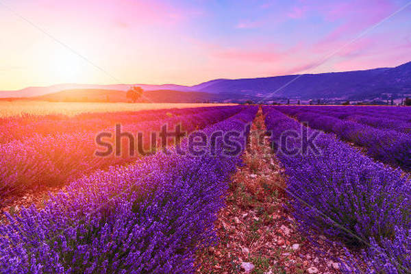  артикул 10029900